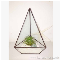 Square Glass Plant Terrarium Style Planter Box
